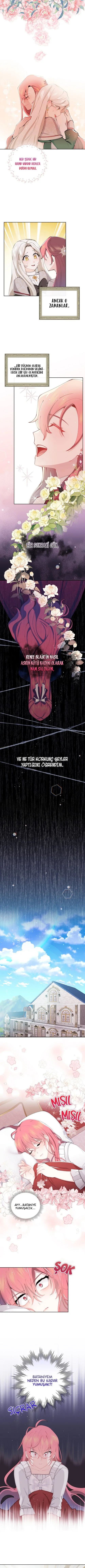 Kötü Kadın Olmak Zorunda Olmamın Sebebi - Bölüm 1 - Sayfa 8