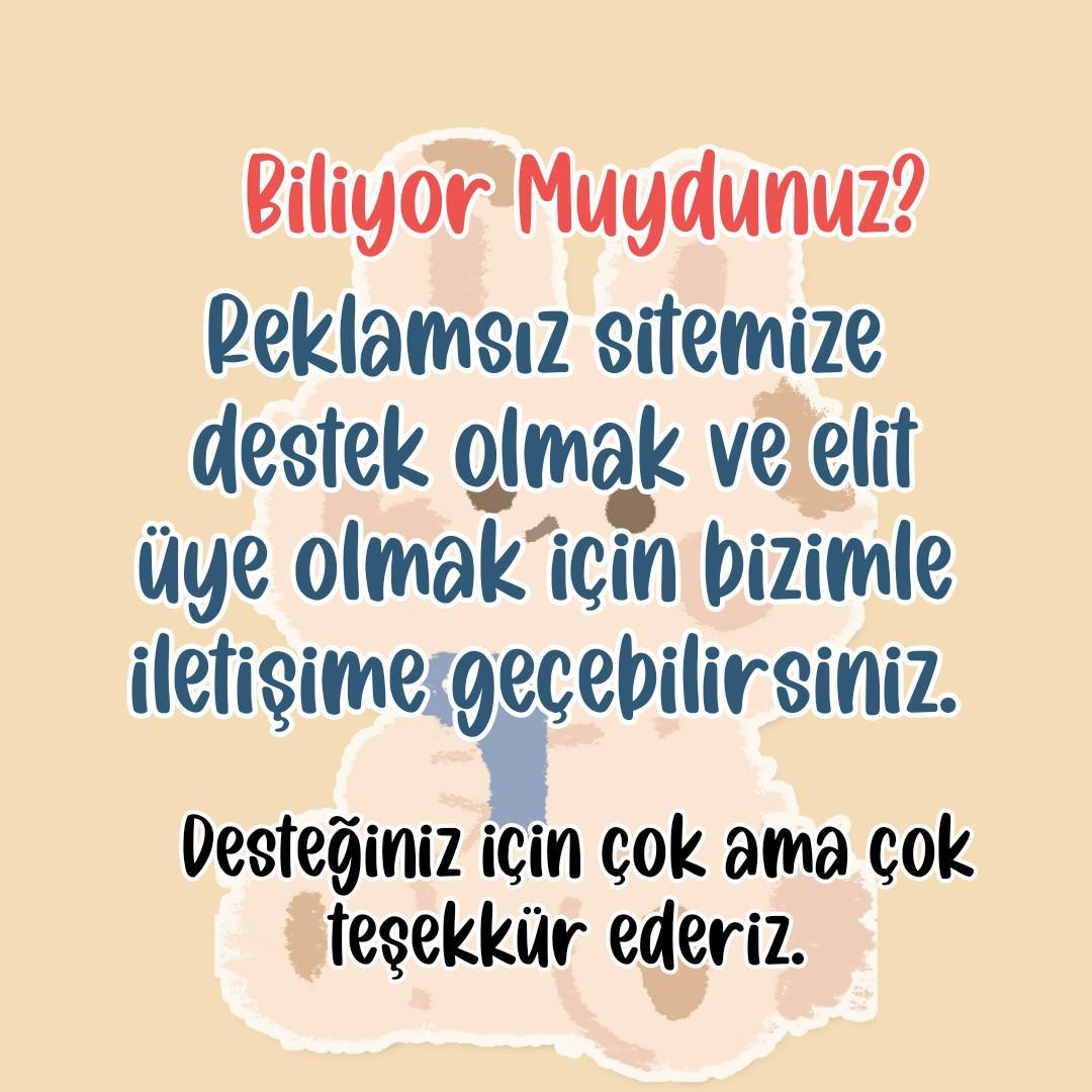 Resim Açıklaması